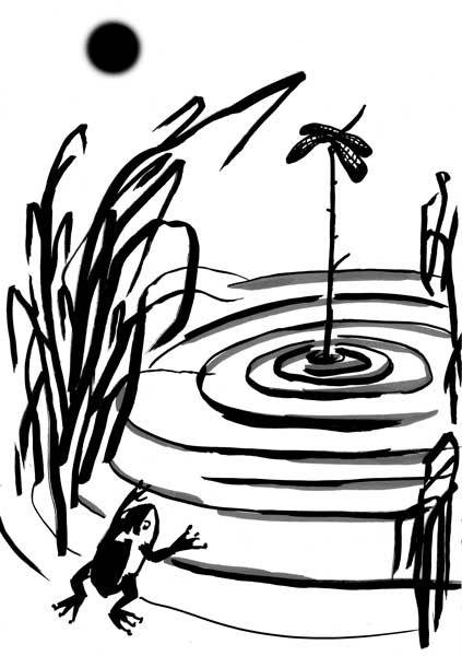 Иллюстрация к книге — Корея [i_006.jpg]