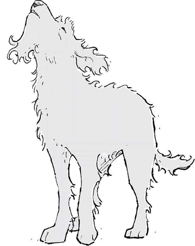 Иллюстрация к книге — Друзья навсегда [i_005.jpg]