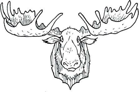 Иллюстрация к книге — Друзья навсегда [i_006.jpg]