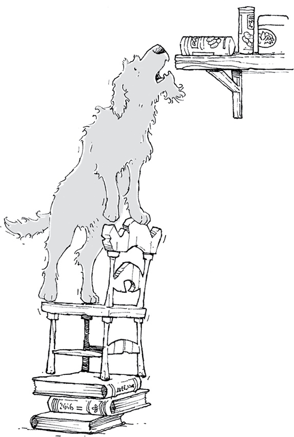 Иллюстрация к книге — Друзья навсегда [i_015.jpg]