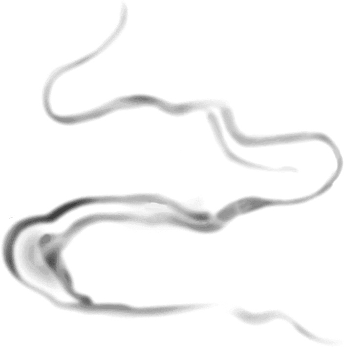 Иллюстрация к книге — Друзья навсегда [i_051.jpg]