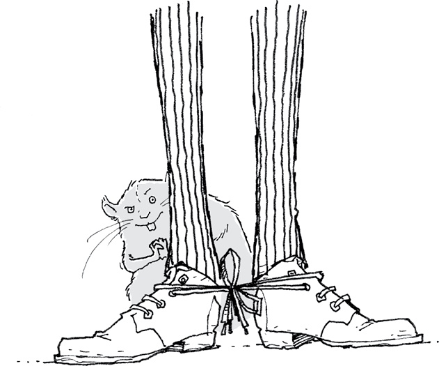 Иллюстрация к книге — Друзья навсегда [i_054.jpg]