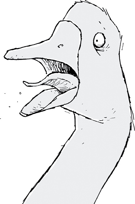 Иллюстрация к книге — Друзья навсегда [i_077.jpg]