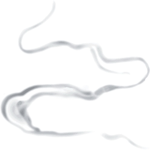 Иллюстрация к книге — Друзья навсегда [i_102.jpg]