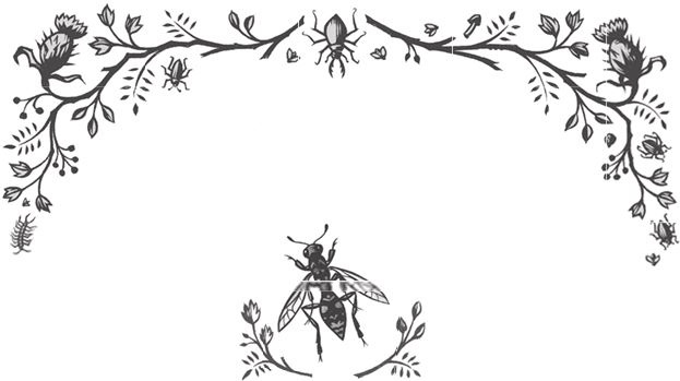 Иллюстрация к книге — Ночные кошмары! [i_006.jpg]