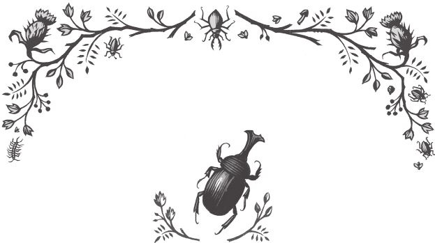 Иллюстрация к книге — Ночные кошмары! [i_009.jpg]