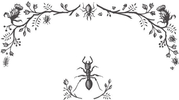 Иллюстрация к книге — Ночные кошмары! [i_013.jpg]