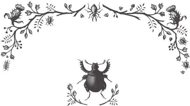 Иллюстрация к книге — Ночные кошмары! [i_015.jpg]