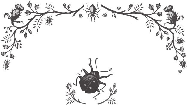 Иллюстрация к книге — Ночные кошмары! [i_020.jpg]