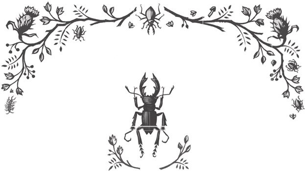 Иллюстрация к книге — Ночные кошмары! [i_023.jpg]