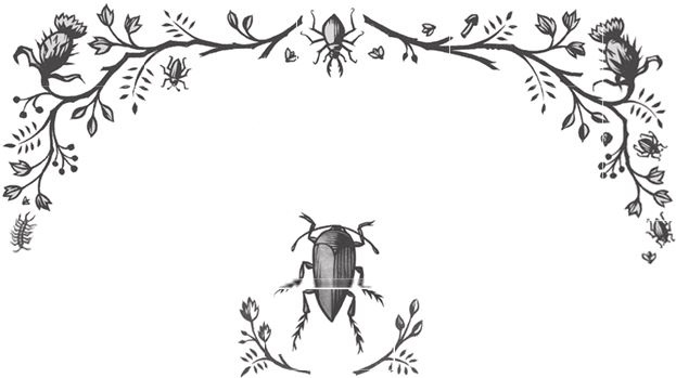 Иллюстрация к книге — Ночные кошмары! [i_041.jpg]