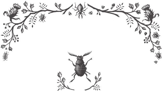 Иллюстрация к книге — Ночные кошмары! [i_045.jpg]