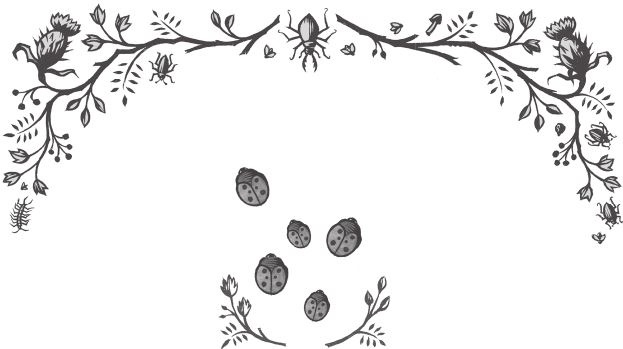 Иллюстрация к книге — Ночные кошмары! [i_049.jpg]