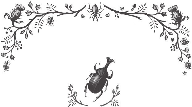 Иллюстрация к книге — Ночные кошмары! [i_058.jpg]