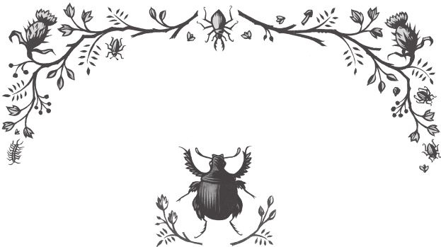 Иллюстрация к книге — Ночные кошмары! [i_068.jpg]