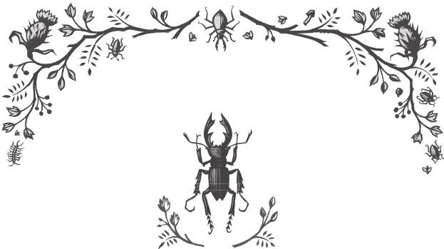 Иллюстрация к книге — Ночные кошмары! [i_074.jpg]