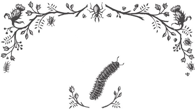 Иллюстрация к книге — Ночные кошмары! [i_084.jpg]