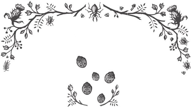 Иллюстрация к книге — Ночные кошмары! [i_092.jpg]