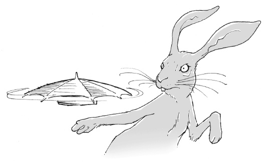 Иллюстрация к книге — Последний цирковой тигр [i_050.jpg]