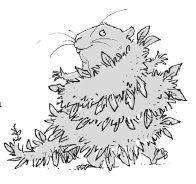 Иллюстрация к книге — Последний цирковой тигр [i_063.jpg]