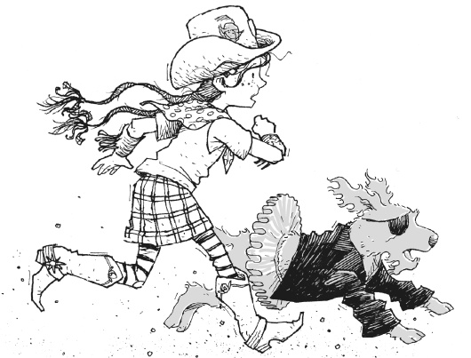 Иллюстрация к книге — Последний цирковой тигр [i_067.jpg]