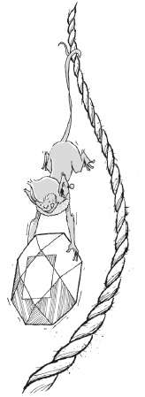 Иллюстрация к книге — Последний цирковой тигр [i_074.jpg]