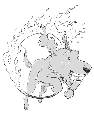 Иллюстрация к книге — Последний цирковой тигр [i_077.jpg]