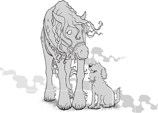 Иллюстрация к книге — Лошадь по имени Луна [i_001.jpg]