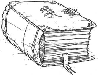 Иллюстрация к книге — Лошадь по имени Луна [i_008.jpg]