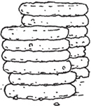 Иллюстрация к книге — Лошадь по имени Луна [i_020.jpg]