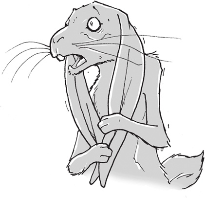 Иллюстрация к книге — Лошадь по имени Луна [i_024.jpg]