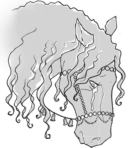 Иллюстрация к книге — Лошадь по имени Луна [i_040.jpg]