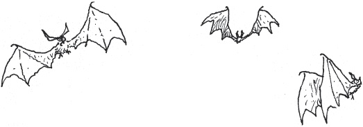 Иллюстрация к книге — Лошадь по имени Луна [i_041.jpg]