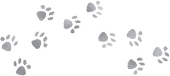 Иллюстрация к книге — Лошадь по имени Луна [i_051.jpg]