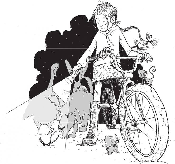 Иллюстрация к книге — Лошадь по имени Луна [i_066.jpg]