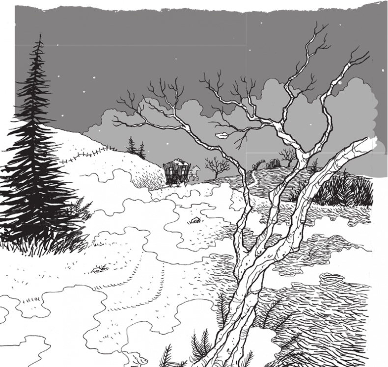 Иллюстрация к книге — Лошадь по имени Луна [i_067.jpg]