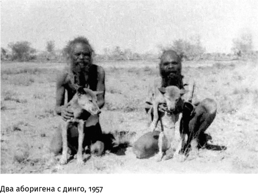 Иллюстрация к книге — Маленький плохой заяц, или Взаимосвязь религии и окружающей среды [i_003.jpg]