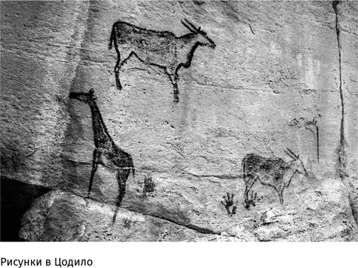 Иллюстрация к книге — Маленький плохой заяц, или Взаимосвязь религии и окружающей среды [i_023.jpg]