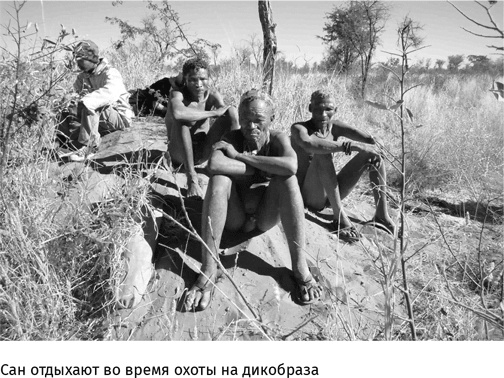 Иллюстрация к книге — Маленький плохой заяц, или Взаимосвязь религии и окружающей среды [i_024.jpg]