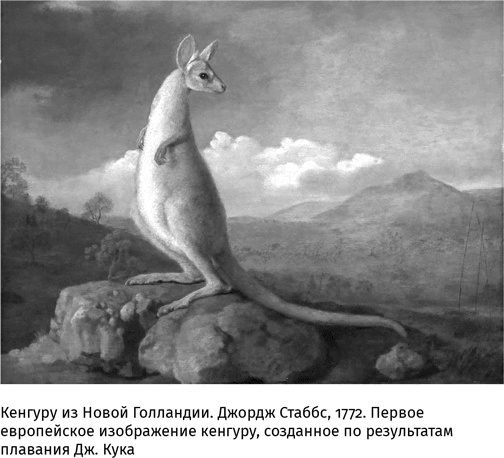 Иллюстрация к книге — Маленький плохой заяц, или Взаимосвязь религии и окружающей среды [i_036.jpg]