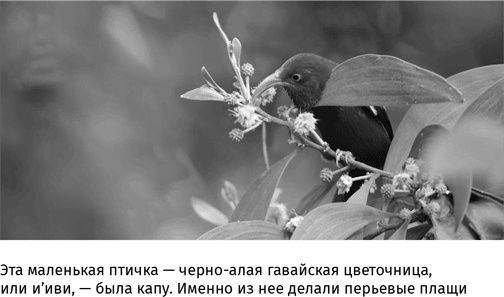 Иллюстрация к книге — Маленький плохой заяц, или Взаимосвязь религии и окружающей среды [i_040.jpg]