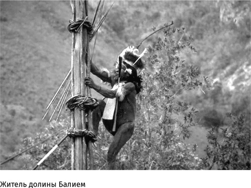 Иллюстрация к книге — Маленький плохой заяц, или Взаимосвязь религии и окружающей среды [i_065.jpg]