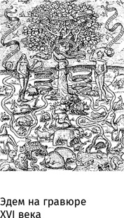 Иллюстрация к книге — Маленький плохой заяц, или Взаимосвязь религии и окружающей среды [i_067.jpg]