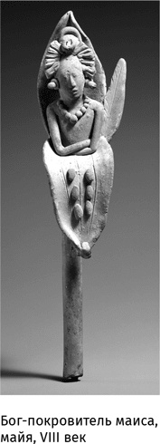 Иллюстрация к книге — Маленький плохой заяц, или Взаимосвязь религии и окружающей среды [i_068.jpg]