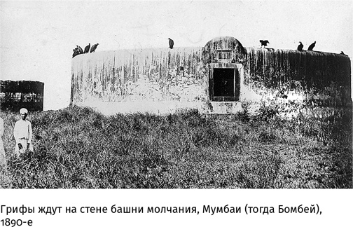 Иллюстрация к книге — Маленький плохой заяц, или Взаимосвязь религии и окружающей среды [i_071.jpg]