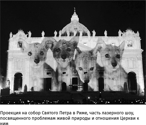 Иллюстрация к книге — Маленький плохой заяц, или Взаимосвязь религии и окружающей среды [i_076.jpg]