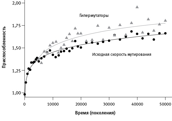 Иллюстрация к книге — Перспективы отбора [i_007.jpg]