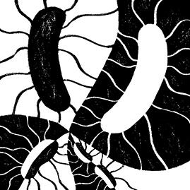 Иллюстрация к книге — Перспективы отбора [i_008.jpg]