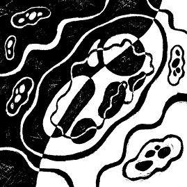 Иллюстрация к книге — Перспективы отбора [i_017.jpg]