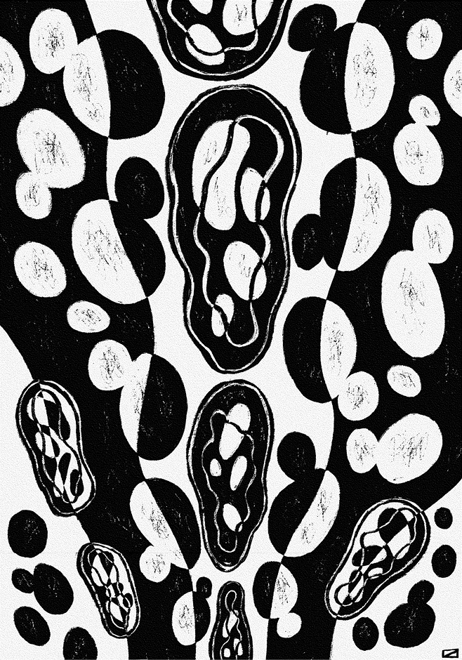 Иллюстрация к книге — Перспективы отбора [i_023.jpg]